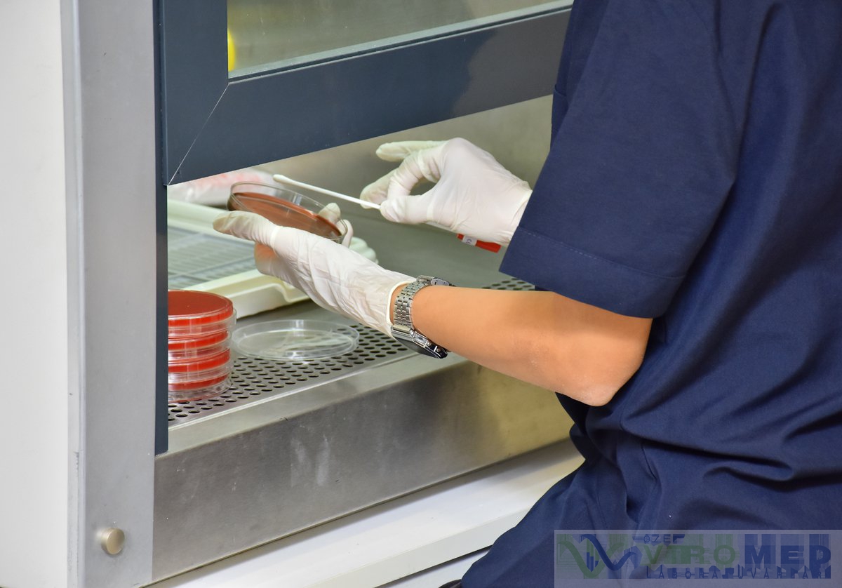 Viromed_2
