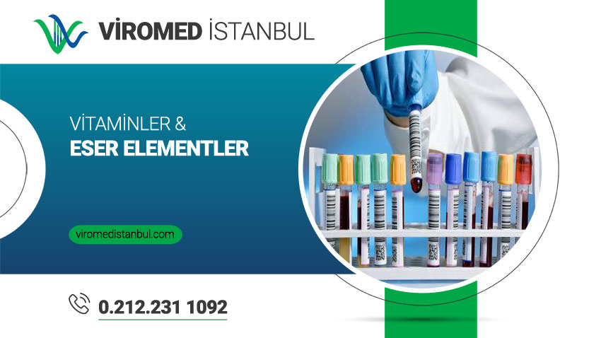 Vitaminler ve Eser Elementler 