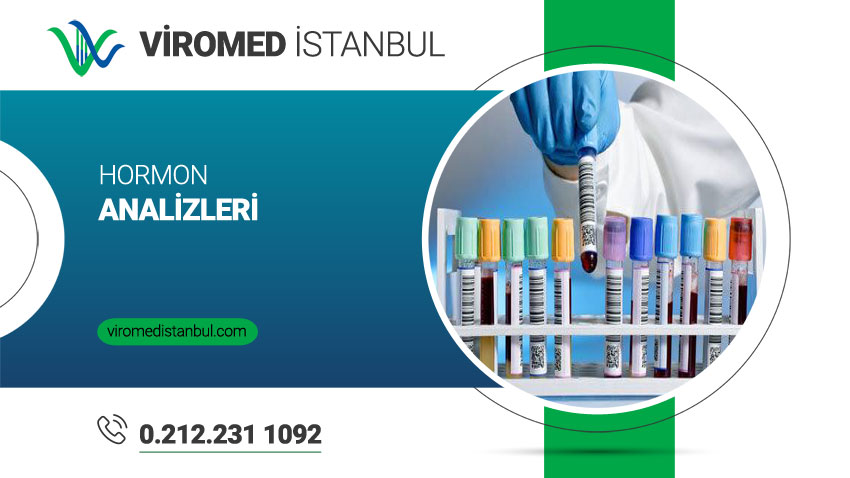  Hormon Analizleri